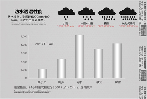详情6